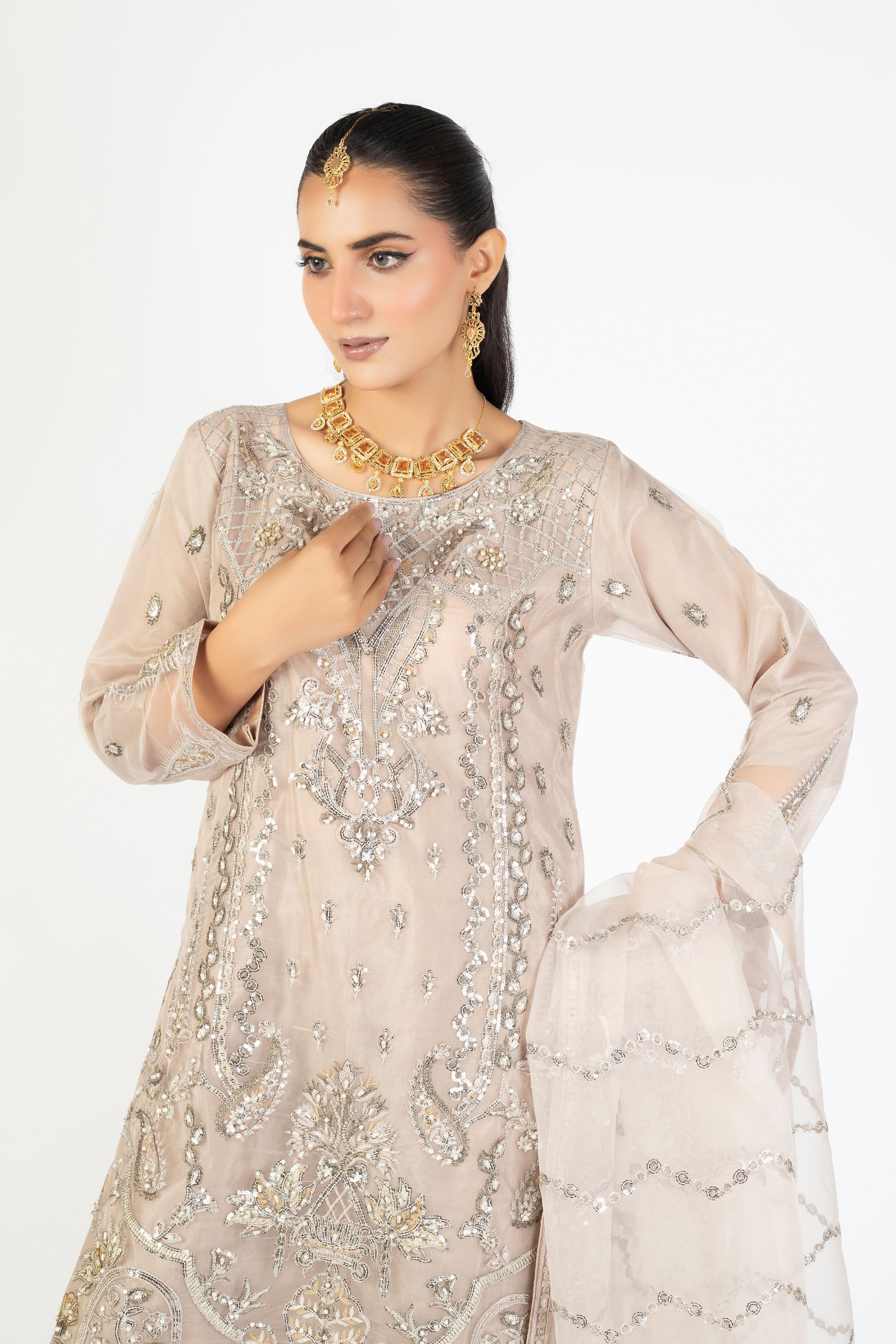 Beige Champagne Handmade Embellished Organza Ensemble