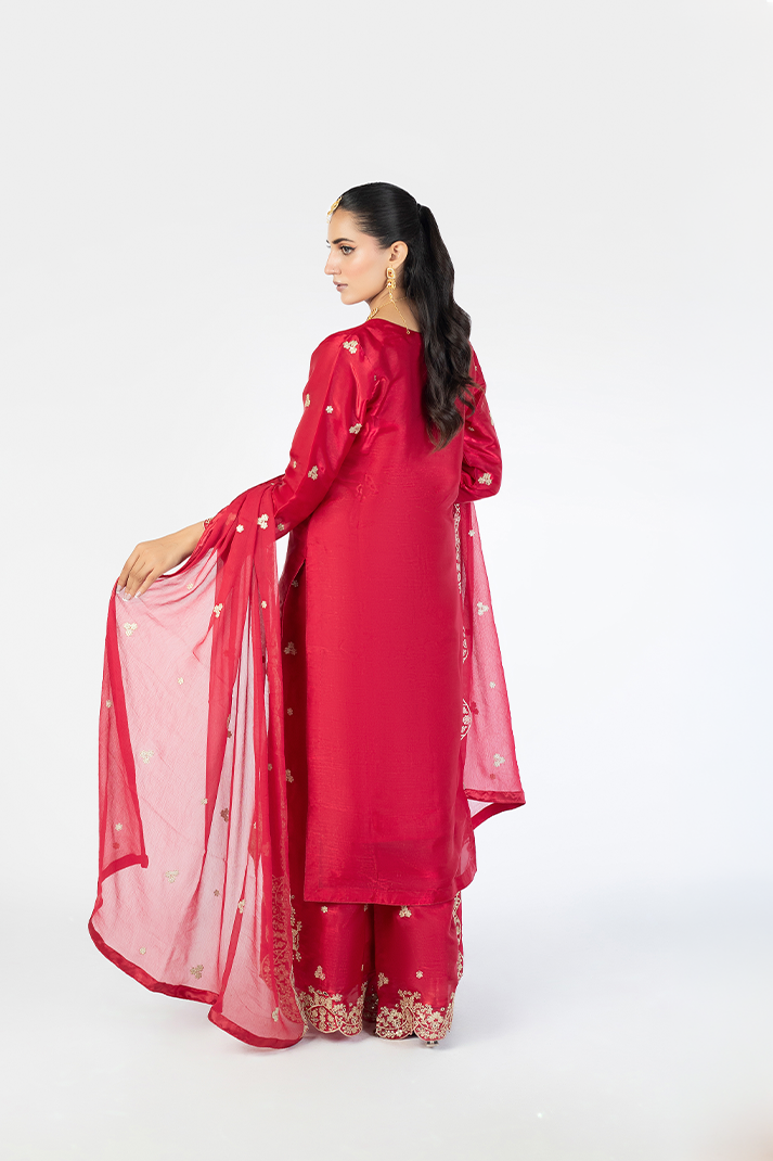 Red Lava Silk Embroidered Suit with Crinkle Dupatta