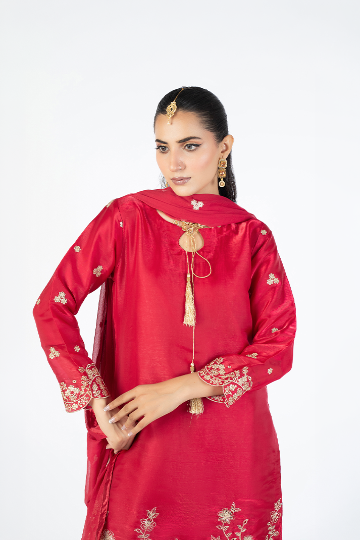 Red Lava Silk Embroidered Suit with Crinkle Dupatta