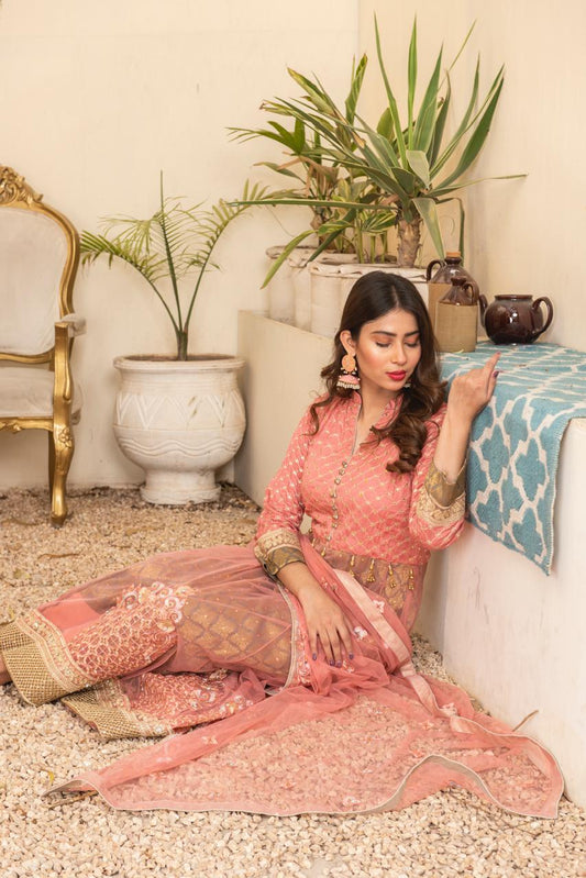 Peach Coral Embroidered Net Maxi – Soft Luxe Festive Edition