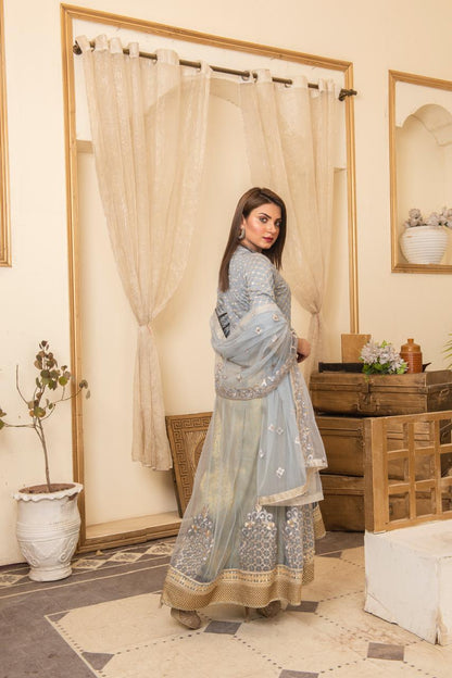 Ice Blue Embroidered Net Maxi – Ethereal Elegance Edition